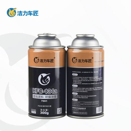 洁力雪种300g 商品图0