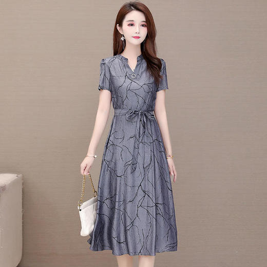 YWE-ALLJ20A42H新款天丝气质减龄印花连衣裙 商品图4