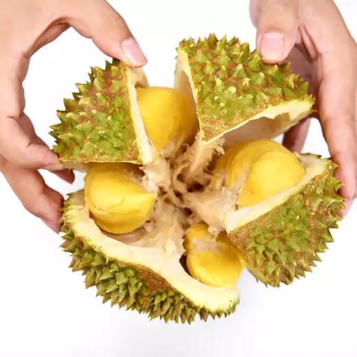 马来西亚 正宗液氮锁鲜猫山王榴莲D197顺丰空运包邮 商品图1