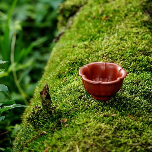 龙德堂陶艺 《锦棠》朱泥 75cc(库存请咨询客服) 商品图1