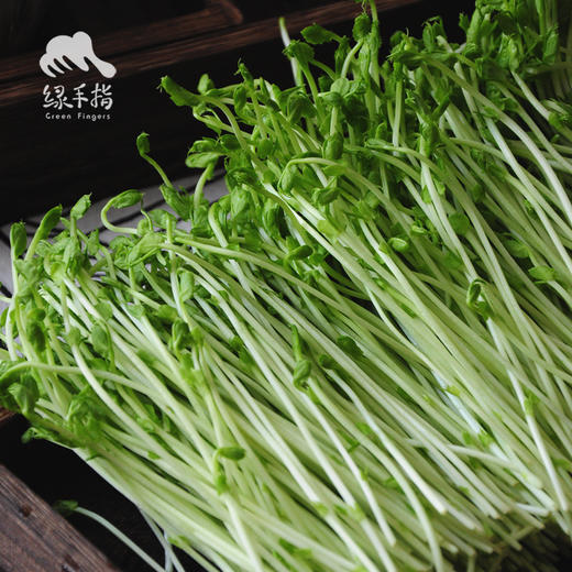 生态组合芽苗菜（送胡萝卜） | 公平贸易*Organic combined sprouts | Fair-trade 商品图1