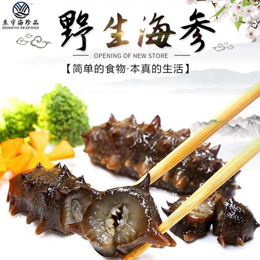 丨有机丨东宇有机海参 淡干海参 即食海参 速发海参 商品图0