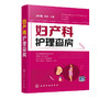 官方正版 妇产科护理查房 临床护理查房丛书 妇产科患者护理措施技能操作 临床查房注意事项 疾病诊治治i疗措施 妇产科书籍 商品缩略图5