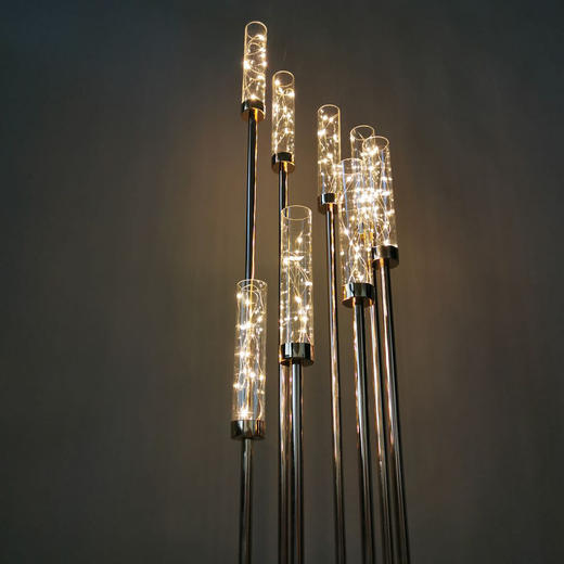 8头步步高满天星路引【运费自理】 商品图4