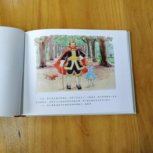 西维亚公主 商品图2