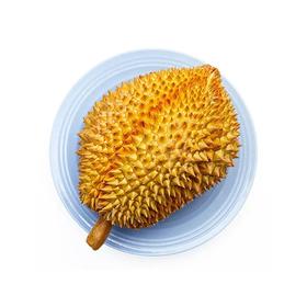 泰国空运树熟金枕榴莲