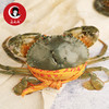 三门青蟹（称重） 商品缩略图1