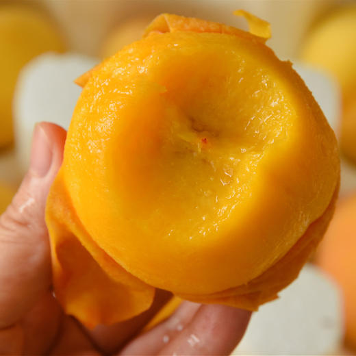 枣阳高山露天黄金蜜桃 果香味浓郁,口感浓甜 现摘现发