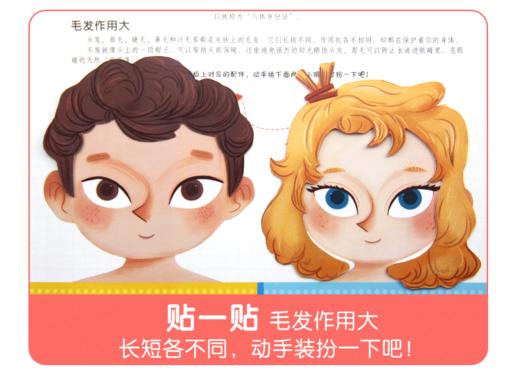 《会动的科普立体翻翻书：可爱的身体》揭秘身体运转的秘密，树立自我保护意识 商品图7