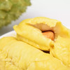 马来西亚 正宗液氮锁鲜猫山王榴莲D197顺丰空运包邮 商品缩略图3