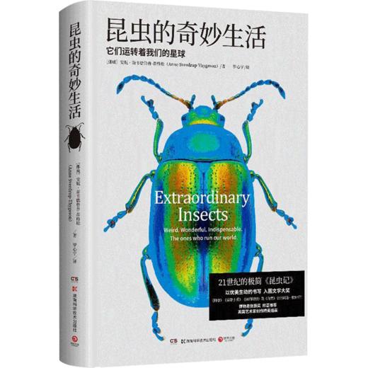 昆虫的奇妙生活  博物君张辰亮推荐 21世纪的极简昆虫记 昆虫科普书 商品图1