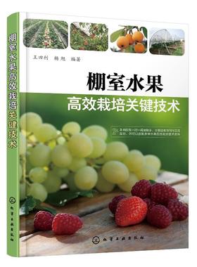 棚室水果高i效栽培关键技术 大棚种植水果技术书籍设施管理棚室建设建造大棚水果种植技术书籍果农培训 棚室水果栽培新技术