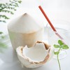 泰国椰青9头中大果 椰子个头饱满 汁水香甜浓郁  一件9枚 商品缩略图2