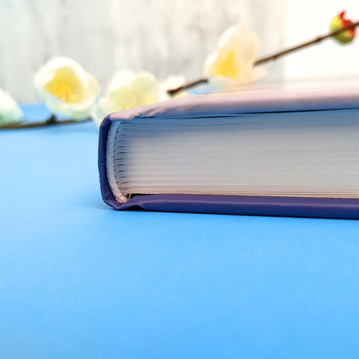 超声引导下的神经阻滞技术  9787313213549   商品图2