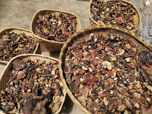 特级野生灵芝 商品图3