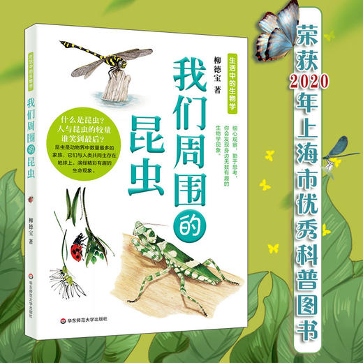 我们周围的昆虫 生活中的生物学丛书 科普读物 认识自然 商品图0