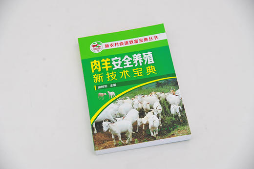 新农村快速致富宝典丛书 肉羊安全养殖新技术宝典 羊场环境控制 饲料质量控制技术 高i效繁殖技术 疫病防控技术 养羊与羊病防治书籍 商品图2