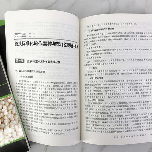 藠头标准化生产与加工技术 藠头栽培技术书籍 轮作套种与软化栽培技术 病虫草害综合防控 盐渍藠头糖醋藠头产品生产与加工工艺技术 商品图3