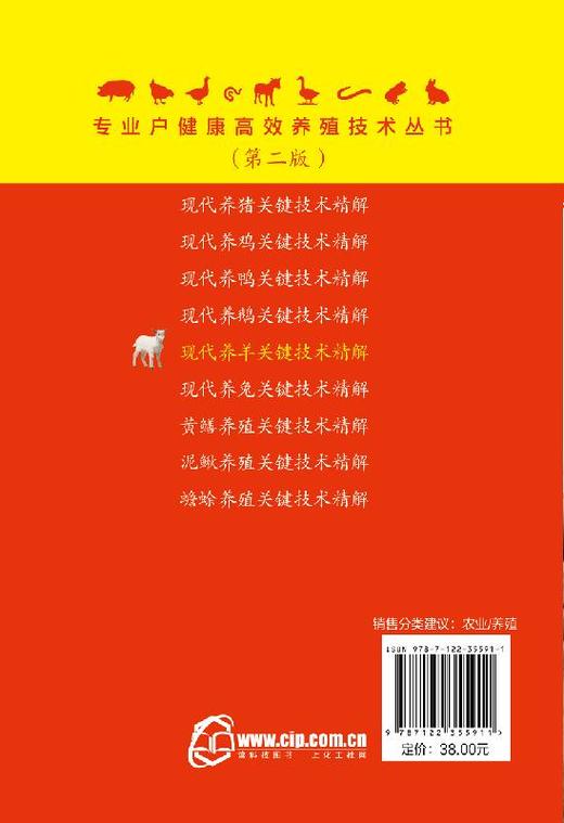 专业户健康高i效养殖技术丛书 现代养羊关键技术精解  繁育技术 营养需要及饲料 肉羊绵羊饲养管理 常见病防i治 科学牛羊养殖书籍 商品图1