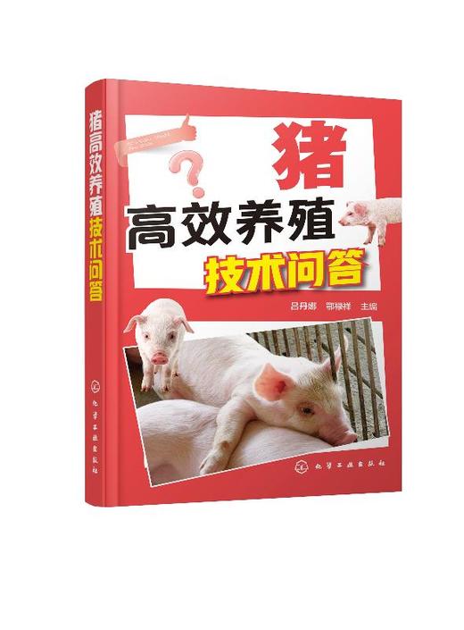 猪高i效养殖技术问答 猪场建设猪品种利用选种猪营养饲料种仔猪培育生长肥育猪饲养管理猪群保健防疫猪场经营管理 农民养殖专业图书 商品图0