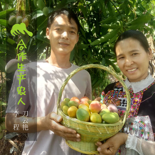 生态芒果 | 合作生产 *Eco- mango | Coproduction 商品图8