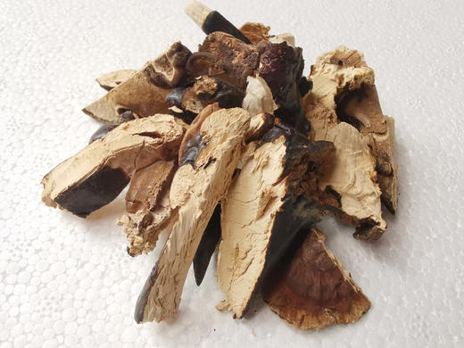 特级野生灵芝 商品图5