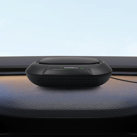 车管家 车载净化器负离子氧吧去PM2.5除雾霾除尘汽车空气净化除甲醛除异味除烟味GJ-1151 黑色-12v车用款 商品图1