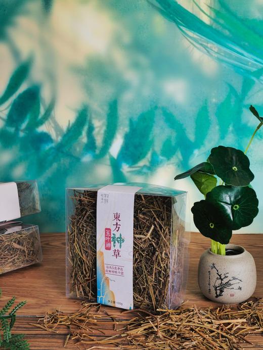 五叶神100g 商品图0