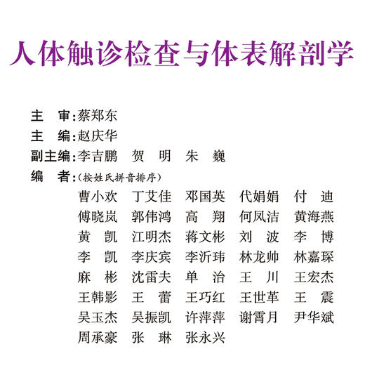 人体触诊检查与体表解剖学 9787313155504 商品图2