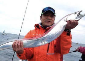 舟山野生海钓鲜带鱼【新鲜发货，无防腐，口感好】