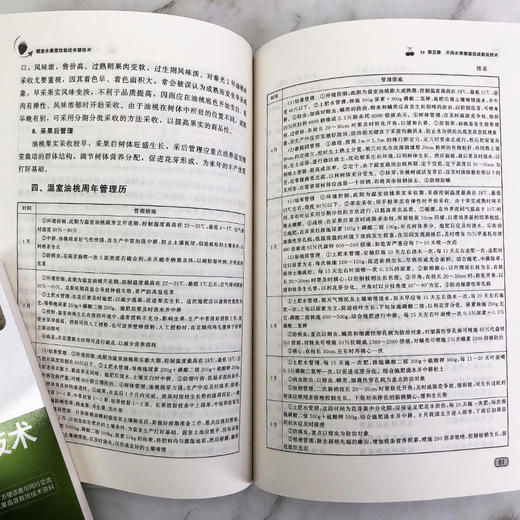 棚室水果高i效栽培关键技术 大棚种植水果技术书籍设施管理棚室建设建造大棚水果种植技术书籍果农培训 棚室水果栽培新技术 商品图2