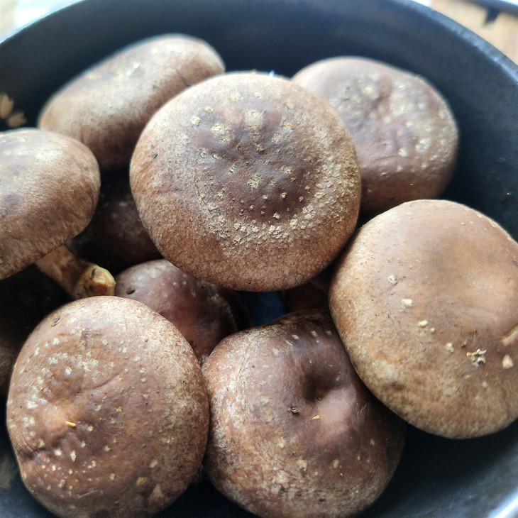 鲜松香菇鲜嫩滑脆合作生产xianggumushroomcoproducted