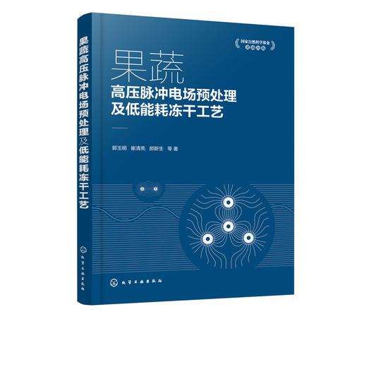 果蔬高压脉冲电场预处理及低能耗冻干工艺  果蔬加工应用书籍 果蔬真空冷冻干燥加工工艺研究 果蔬高压脉冲电场预处理技术书籍 商品图1