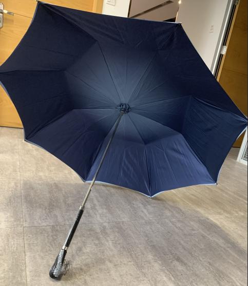 pasotti双层蓝色满天星水晶伞面