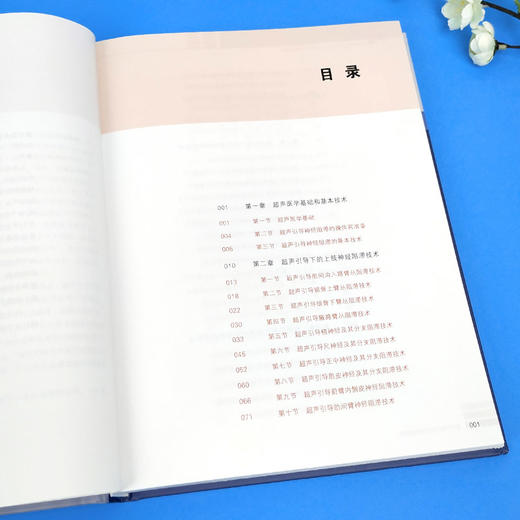 超声引导下的神经阻滞技术  9787313213549   商品图4