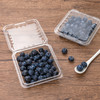 喇叭花125g蓝莓盒水果一次性透明樱桃草莓包装塑料加厚桑果盒100个 商品缩略图2