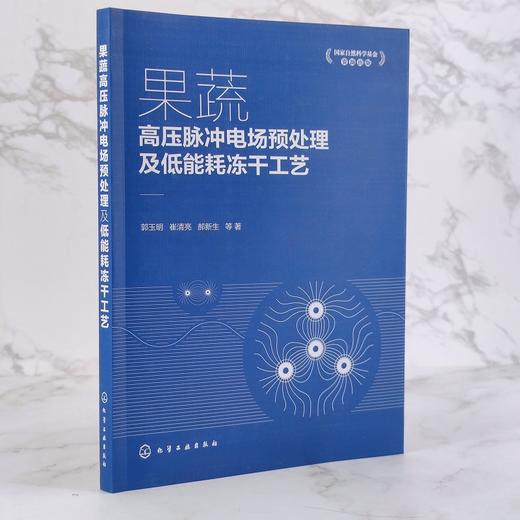 果蔬高压脉冲电场预处理及低能耗冻干工艺  果蔬加工应用书籍 果蔬真空冷冻干燥加工工艺研究 果蔬高压脉冲电场预处理技术书籍 商品图2