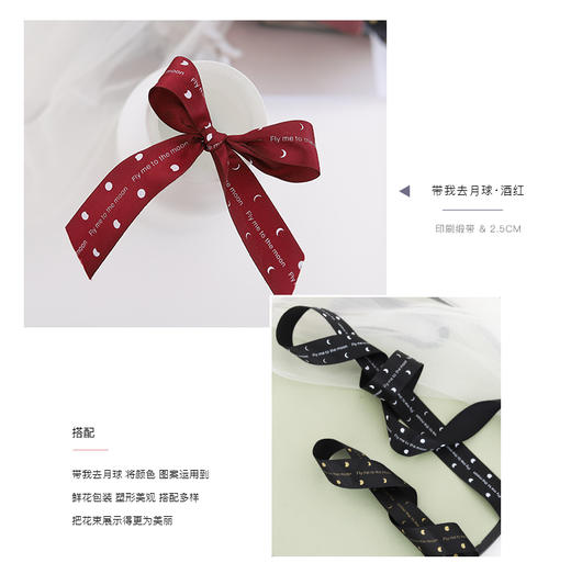 缎带：带我去月球 商品图1