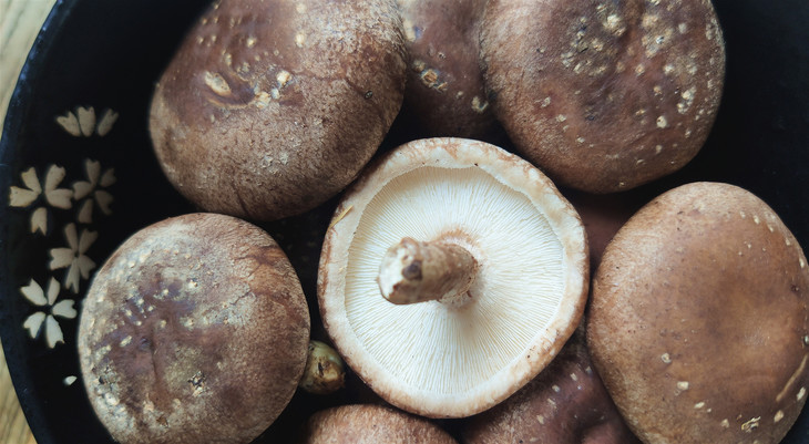 鲜松香菇鲜嫩滑脆合作生产xianggumushroomcoproducted