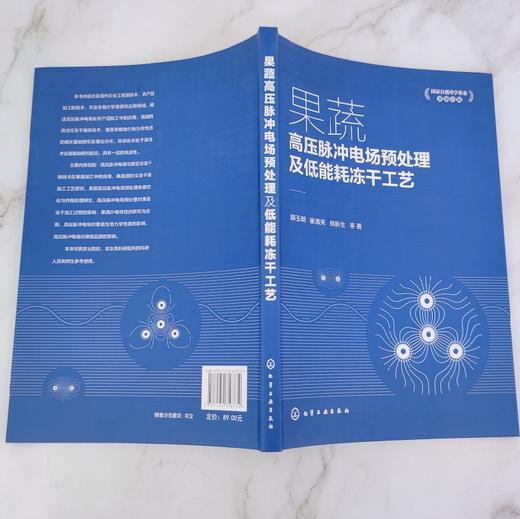 果蔬高压脉冲电场预处理及低能耗冻干工艺  果蔬加工应用书籍 果蔬真空冷冻干燥加工工艺研究 果蔬高压脉冲电场预处理技术书籍 商品图3