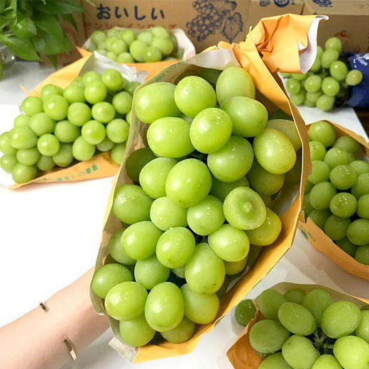 阳光玫瑰青提（特级果） 商品图5