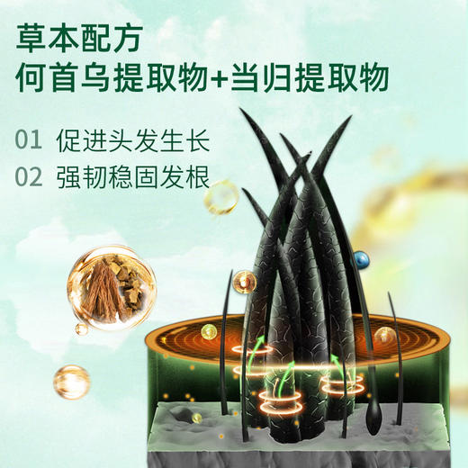 【草本配方】植柏诗滚珠防脱育发液 商品图3