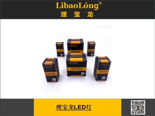 理宝龙LED灯 商品图0