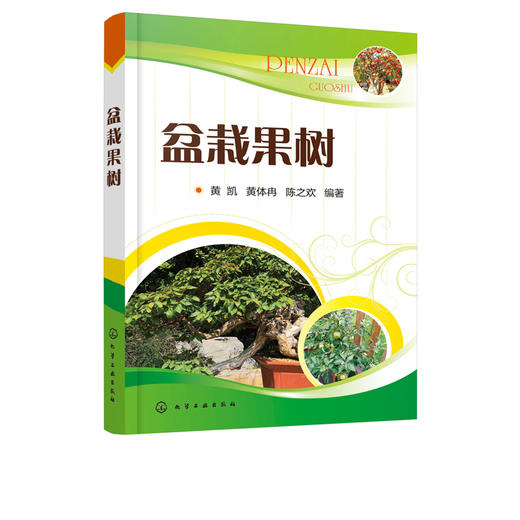 盆栽果树 黄凯 盆栽果树制作综合管护 盆栽果树桩材来源 培养土配制 品种选择日常养护 造型技艺 盆栽果树制作养护书籍 盆景制作 商品图5