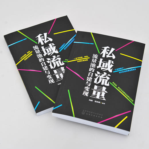 私域流量 流量池的自建与变现 柯醒 倪林峰 微信朋友圈小程序公众号社群短视频私域电商平台运营书籍引流变现技巧私域流量运营书籍 商品图3