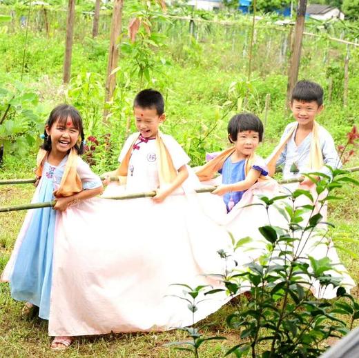 华德福学园端午庆典| 农园活动 * Waldorf Dragon Boat Festiva| Farm activities 商品图0