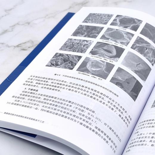 果蔬高压脉冲电场预处理及低能耗冻干工艺  果蔬加工应用书籍 果蔬真空冷冻干燥加工工艺研究 果蔬高压脉冲电场预处理技术书籍 商品图4