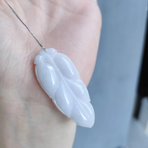 紫花件（金枝玉叶） 商品图3