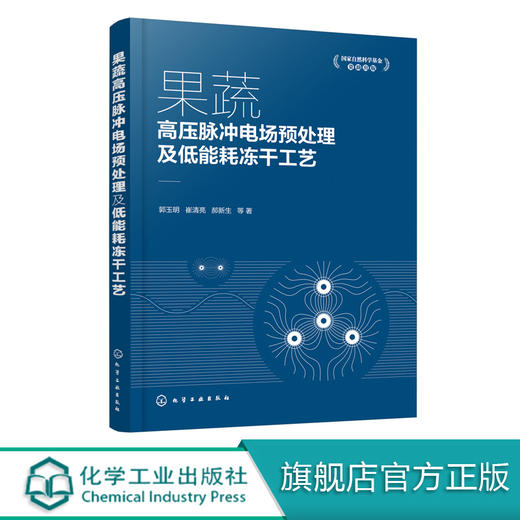 果蔬高压脉冲电场预处理及低能耗冻干工艺  果蔬加工应用书籍 果蔬真空冷冻干燥加工工艺研究 果蔬高压脉冲电场预处理技术书籍 商品图0