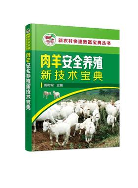 新农村快速致富宝典丛书 肉羊安全养殖新技术宝典 羊场环境控制 饲料质量控制技术 高i效繁殖技术 疫病防控技术 养羊与羊病防治书籍